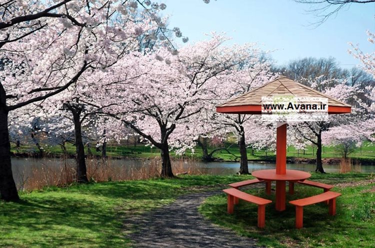 آلاچیق چوبی دارای میز و صندلی طرح GA21